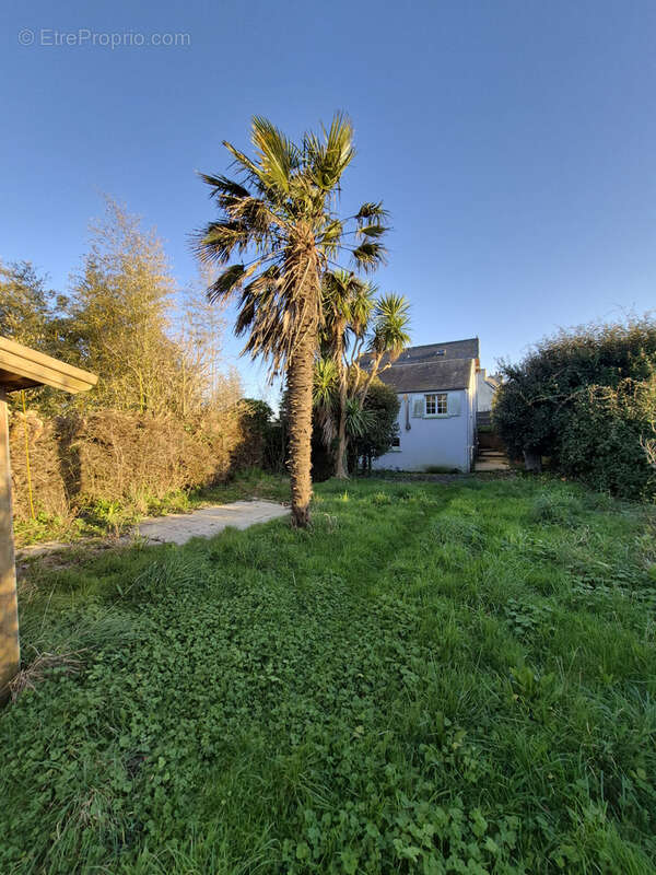 Maison à SAINT-POL-DE-LEON