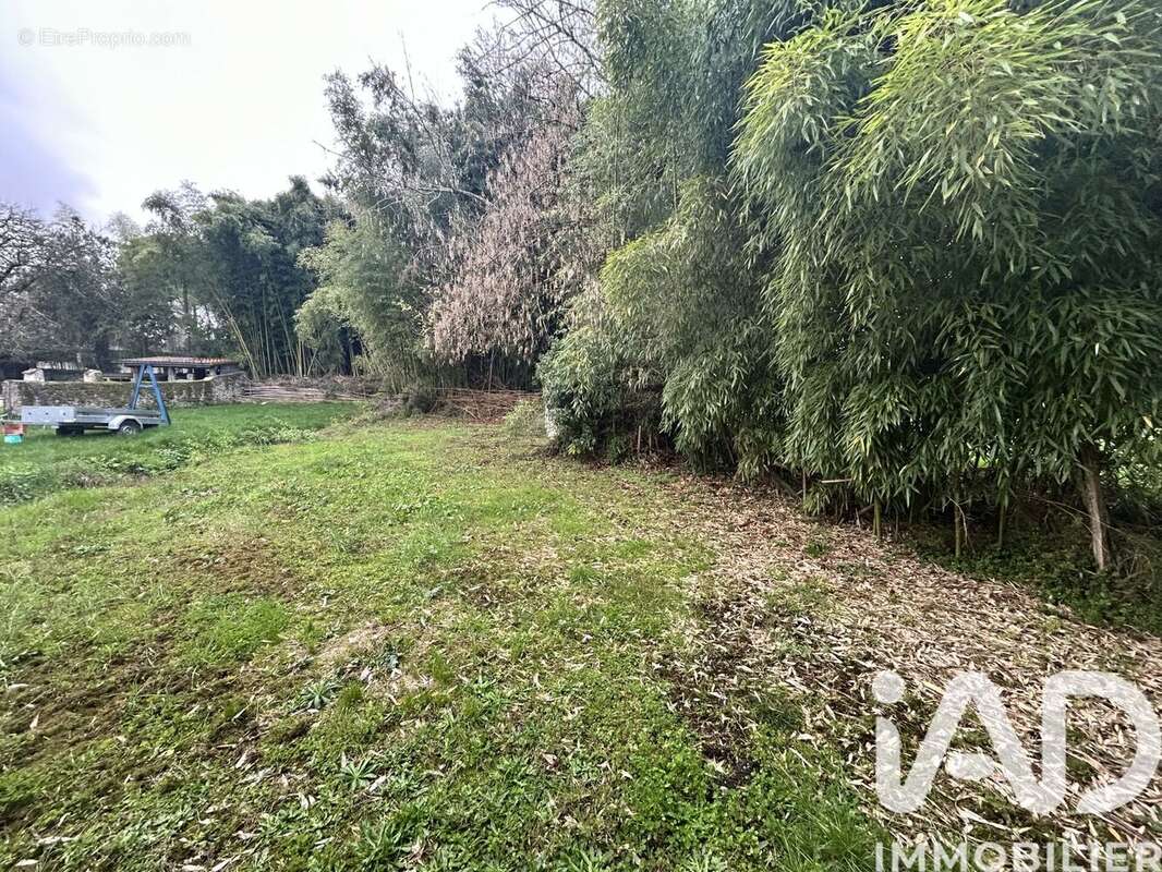 Photo 6 - Terrain à ILLATS