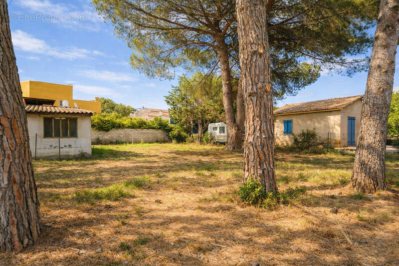 Terrain à AGDE