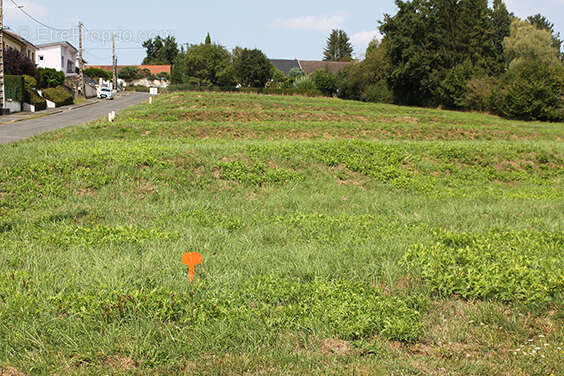 Terrain - Montceau-les-Mines - photo 2