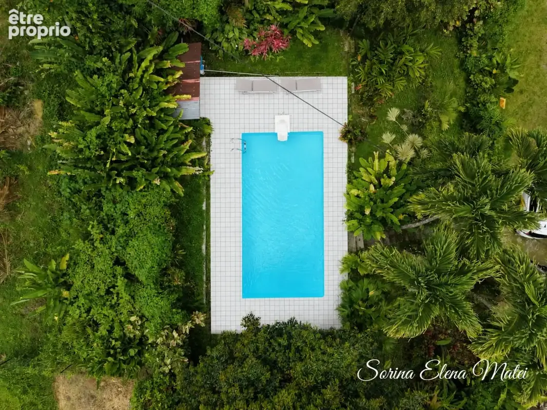Maison avec piscine au cœur d’un écrin tropical - 5 pièces PETIT BOURG (971) - photo 3