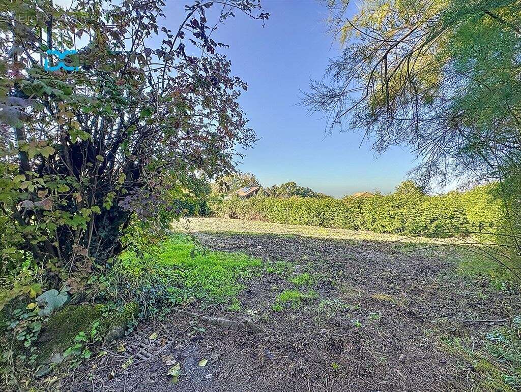 Terrain à MAXILLY-SUR-LEMAN