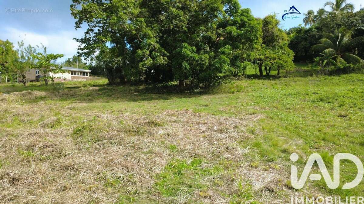 Photo 2 - Terrain à LE VAUCLIN