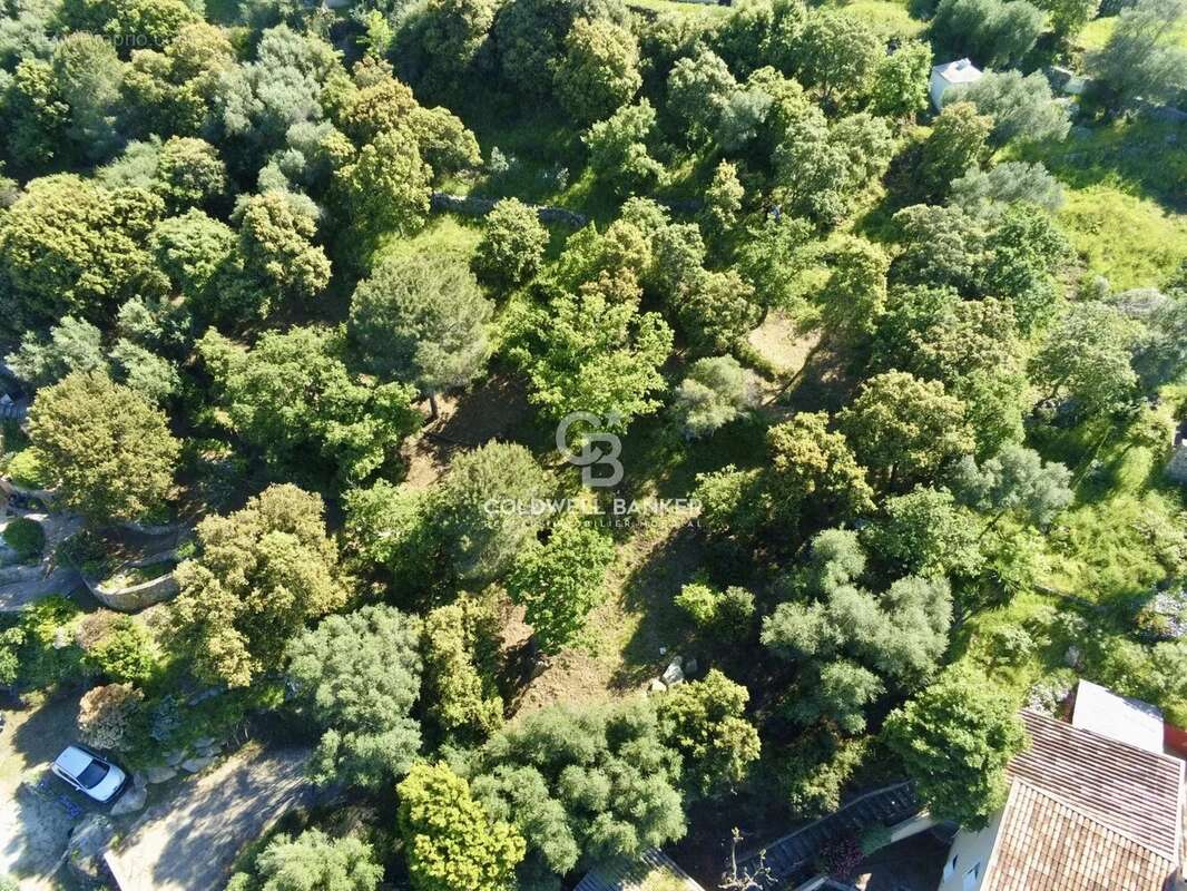 Terrain à MONTICELLO