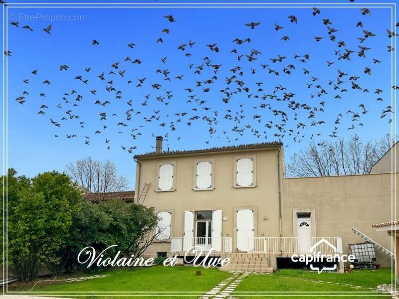 Maison à RIEUX-MINERVOIS