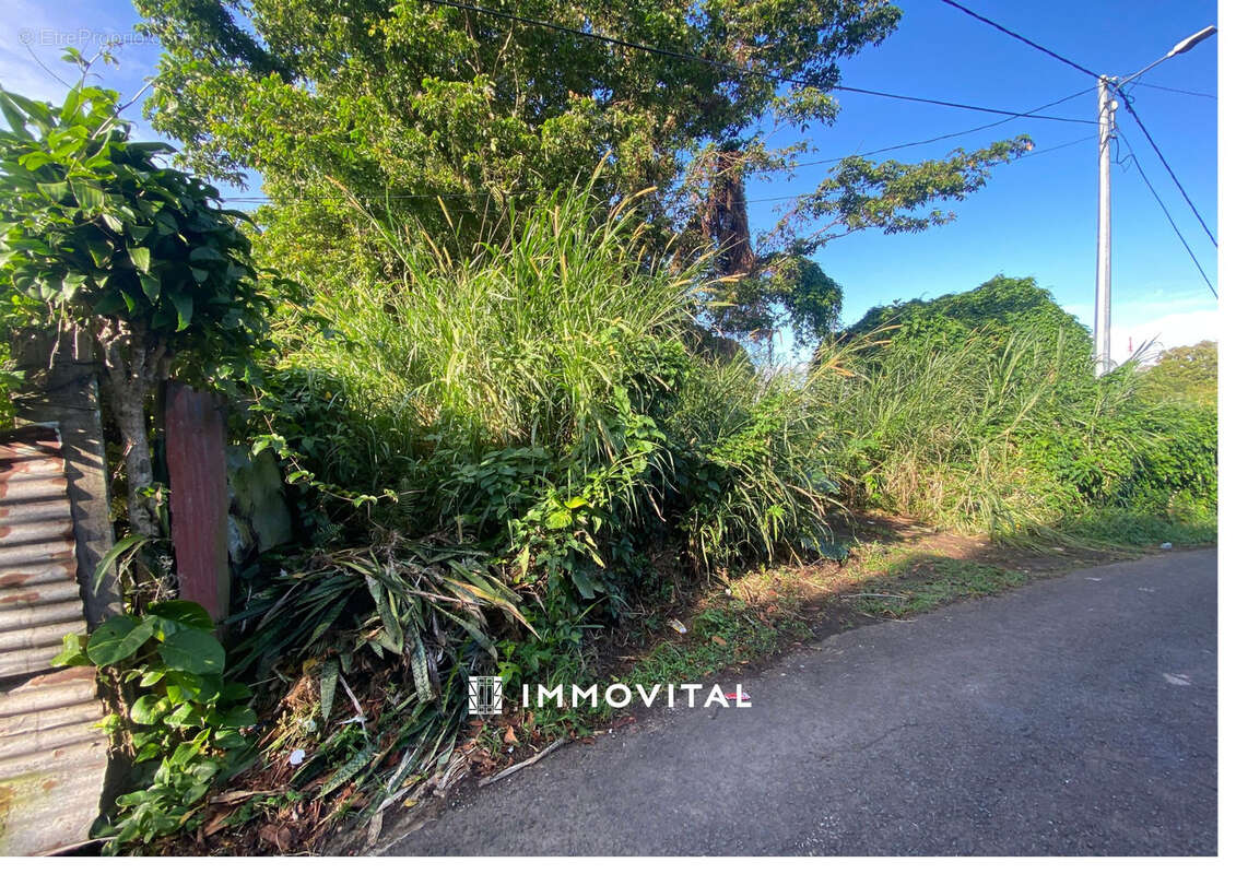 SAINT- CLAUDE - Monteran - Terrain de 300 m2 - photo 2