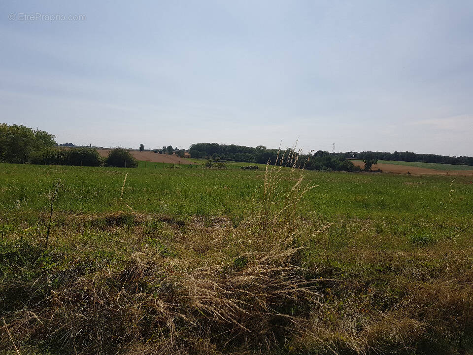 Terrain à REUILLY