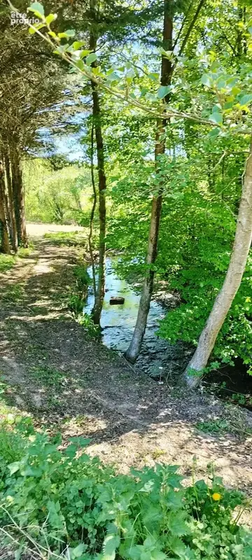 Pour amoureux de la nature - photo 8