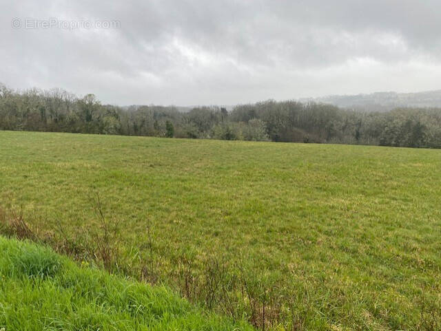 Terrain à LE ROC