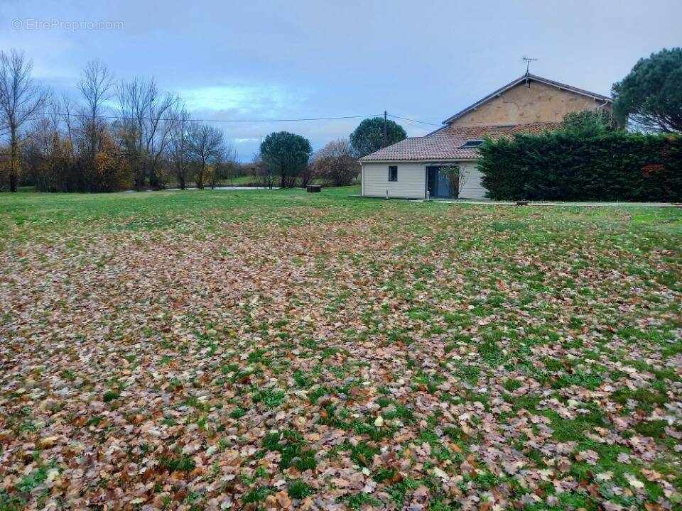 Terrain à LAVAUR