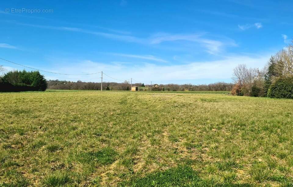 Terrain à VILLENEUVE-LES-BOULOC