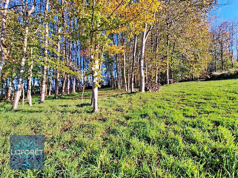 Maison à LOUVIGNE-DU-DESERT