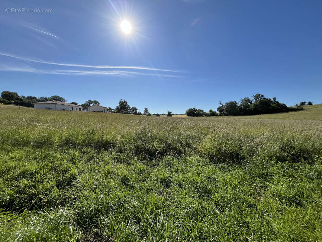 Terrain à PREIGNAN