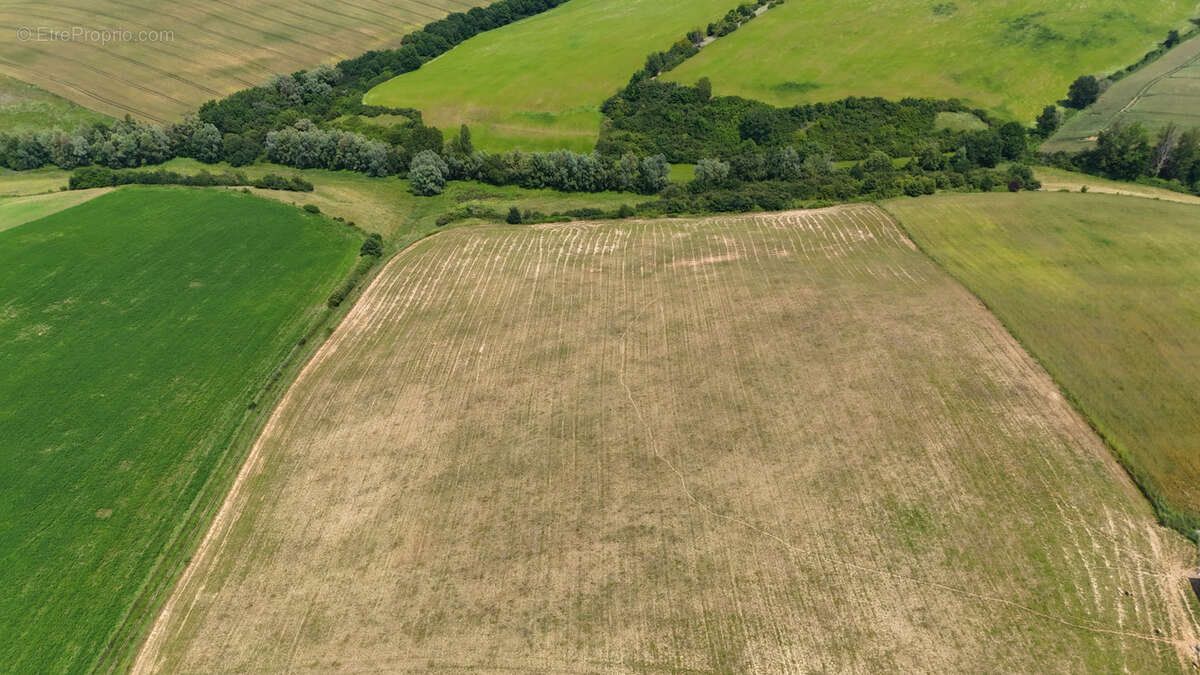Maison à LEZAT-SUR-LEZE