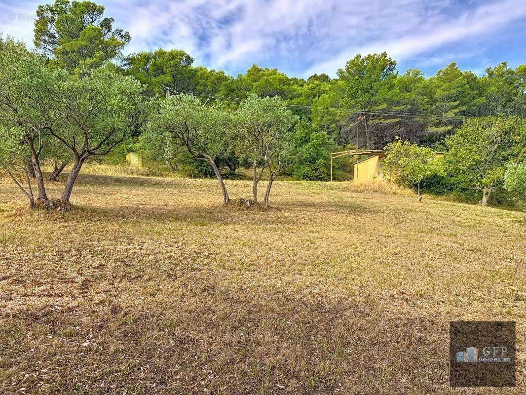 Bastide d’exception à Seillans (18è siècle) - photo 72