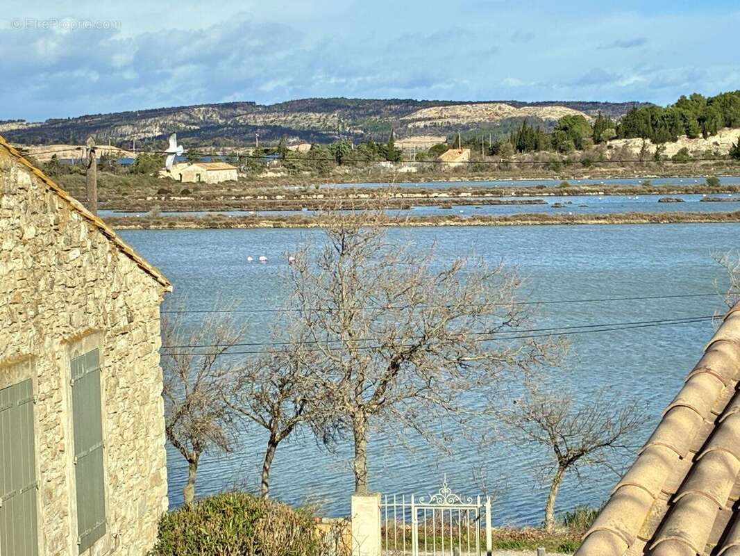 A Peyriac de mer,  maison + appartement, vue étangs. - photo 10