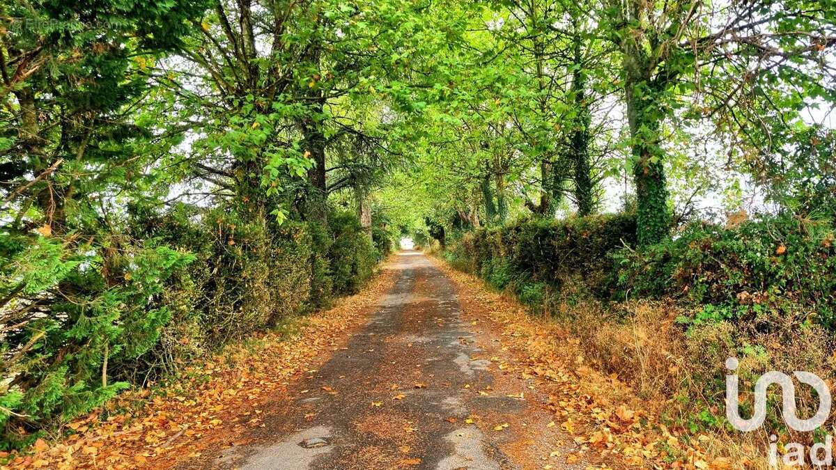 Photo 4 - Maison à AMBIALET