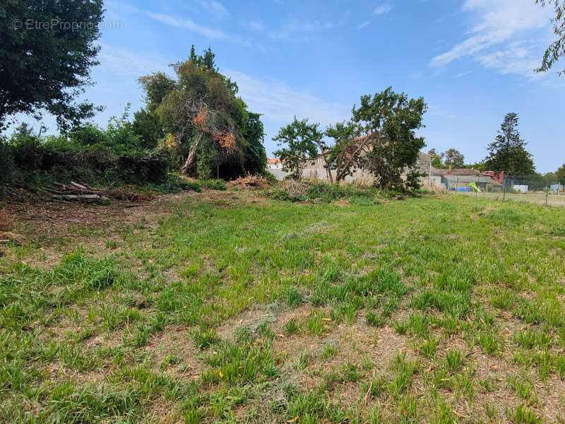 Terrain à SAUZE-VAUSSAIS