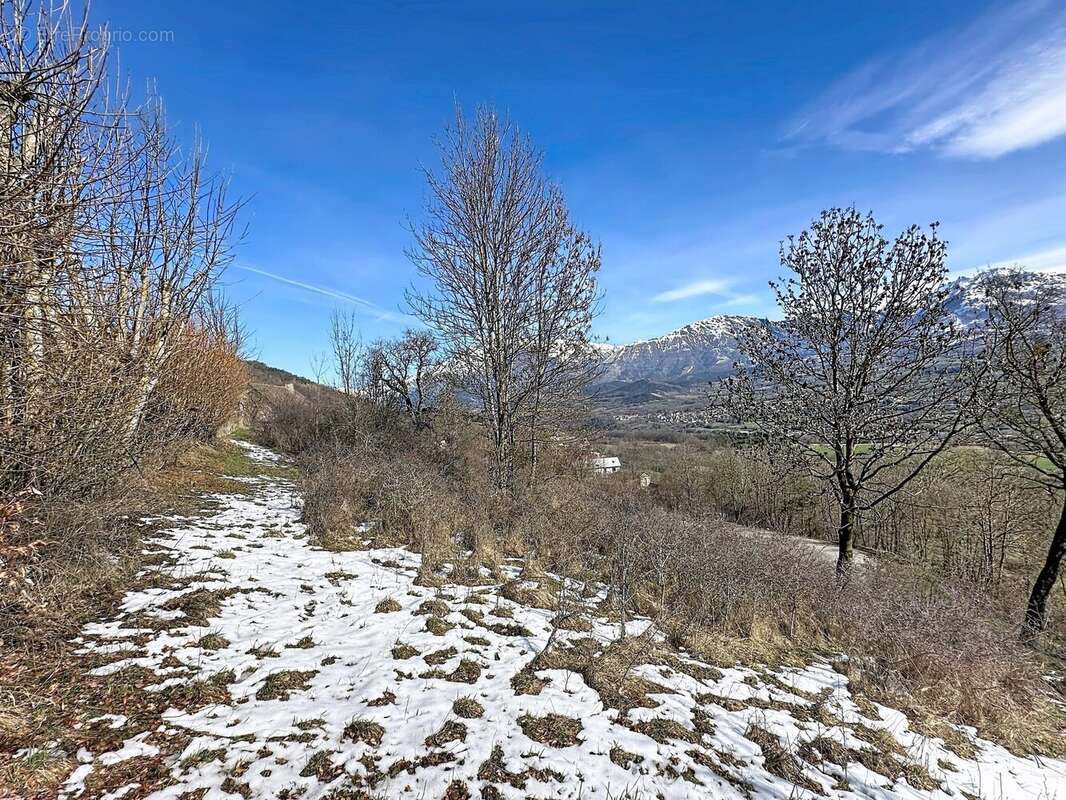 Terrain 3968 m² à La Fare-En-Champsaur  - photo 5