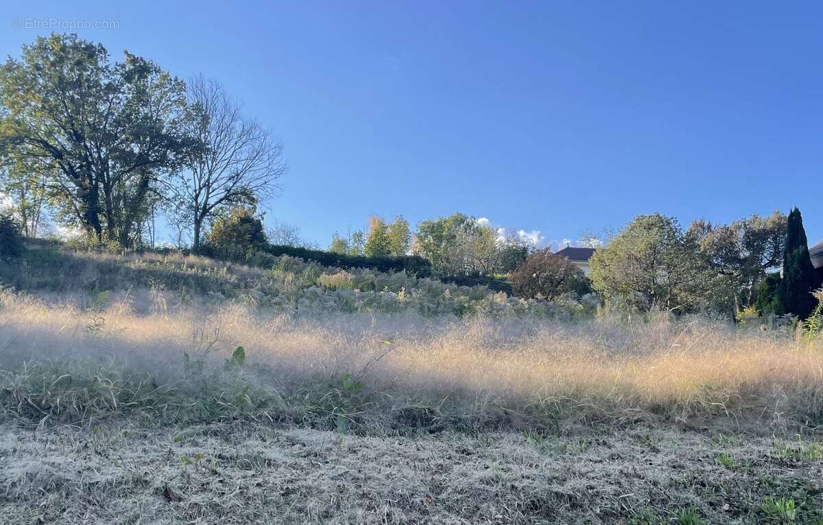 Photo 2 - Terrain à SAINT-JORIOZ