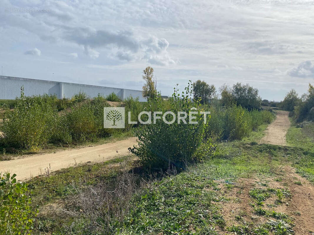 Terrain à DOUE-LA-FONTAINE