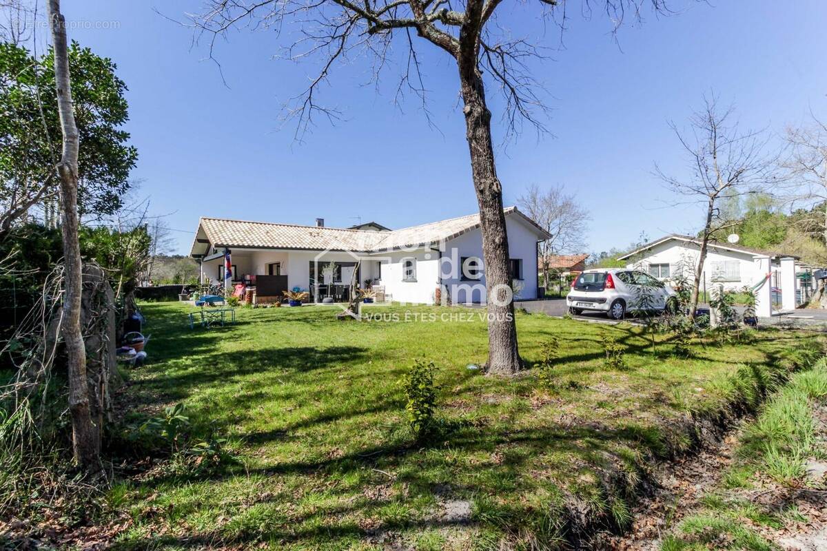 Maison à SAINT-MICHEL-ESCALUS