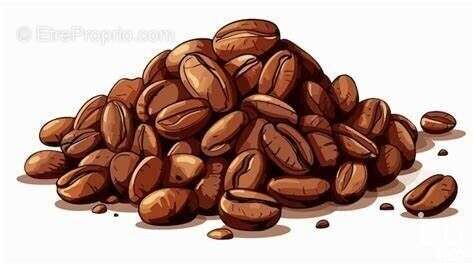 Photo 2 - Commerce à AVIGNON