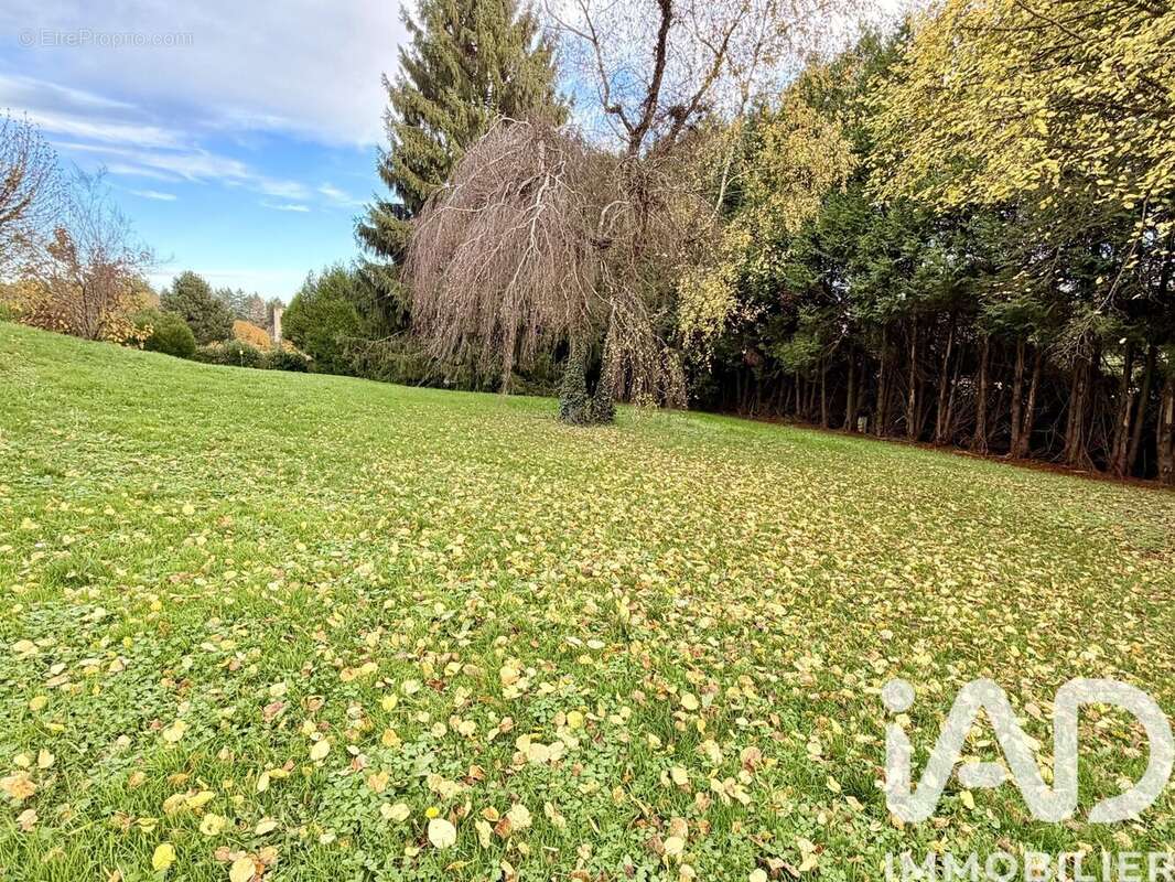 Photo 2 - Terrain à COUZEIX