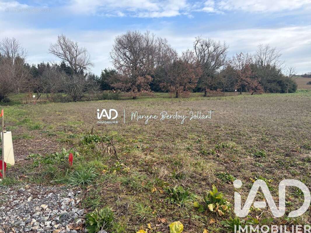 Photo 3 - Terrain à SAINTE-RADEGONDE