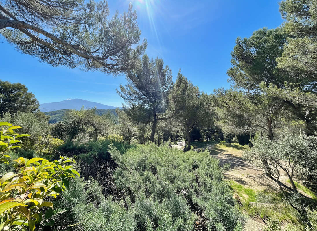 Maison à VAISON-LA-ROMAINE