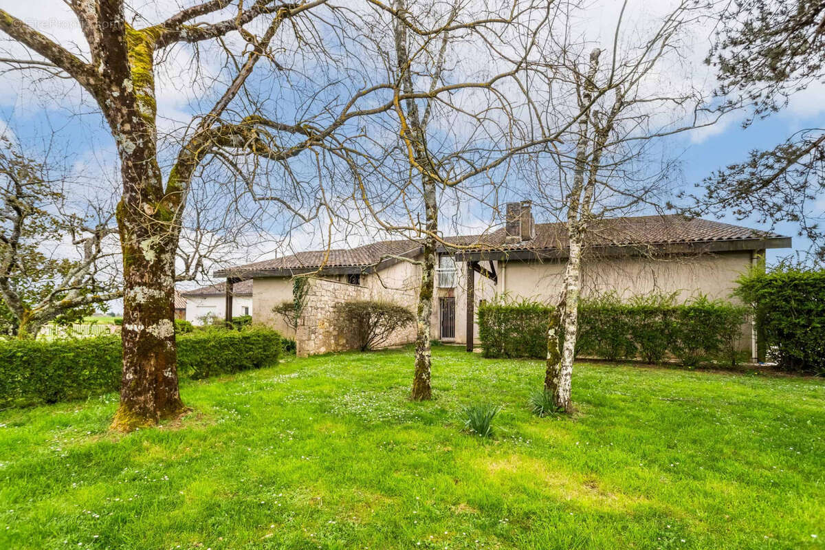 Village property with gite/annexe - photo 7