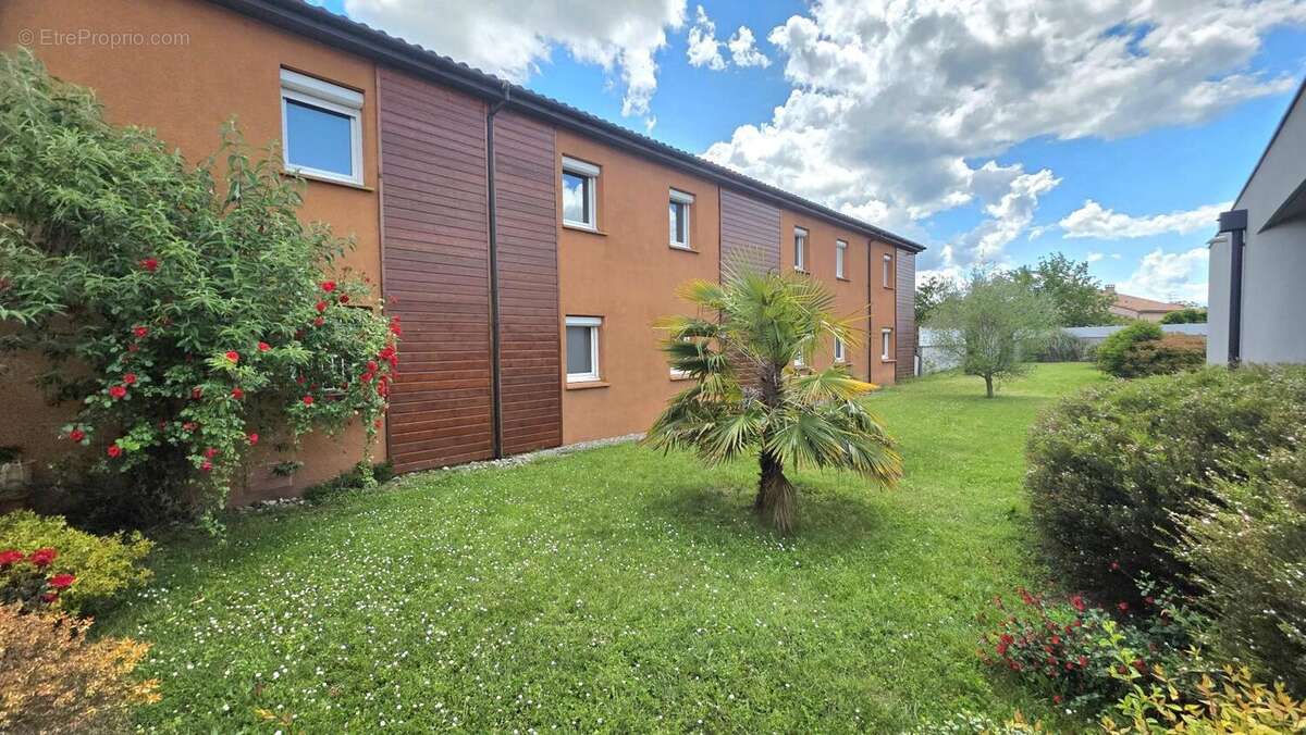 Commerce à TOULOUSE