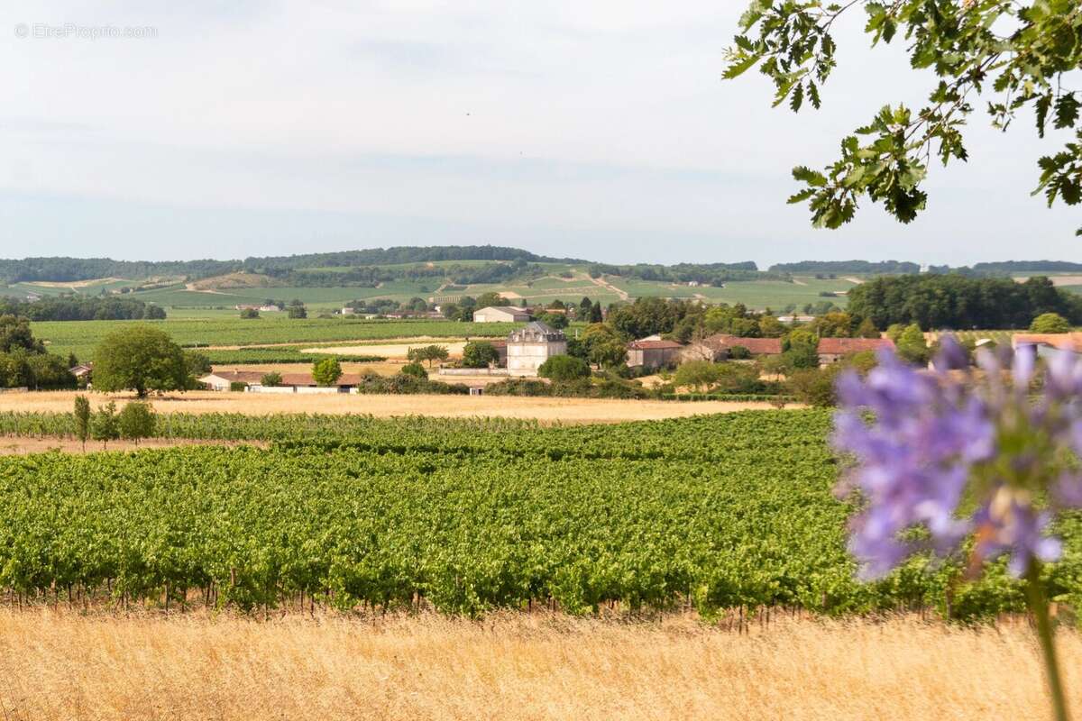 Maison moderne avec piscine et belle vue sur le vignoble - photo 19