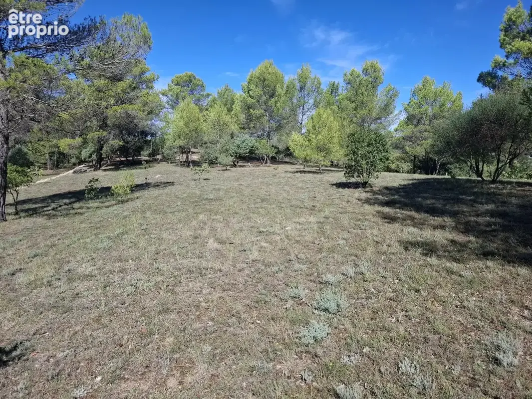 Propriété de charme avec piscine et près de 2 hectares - La Verdière - photo 6