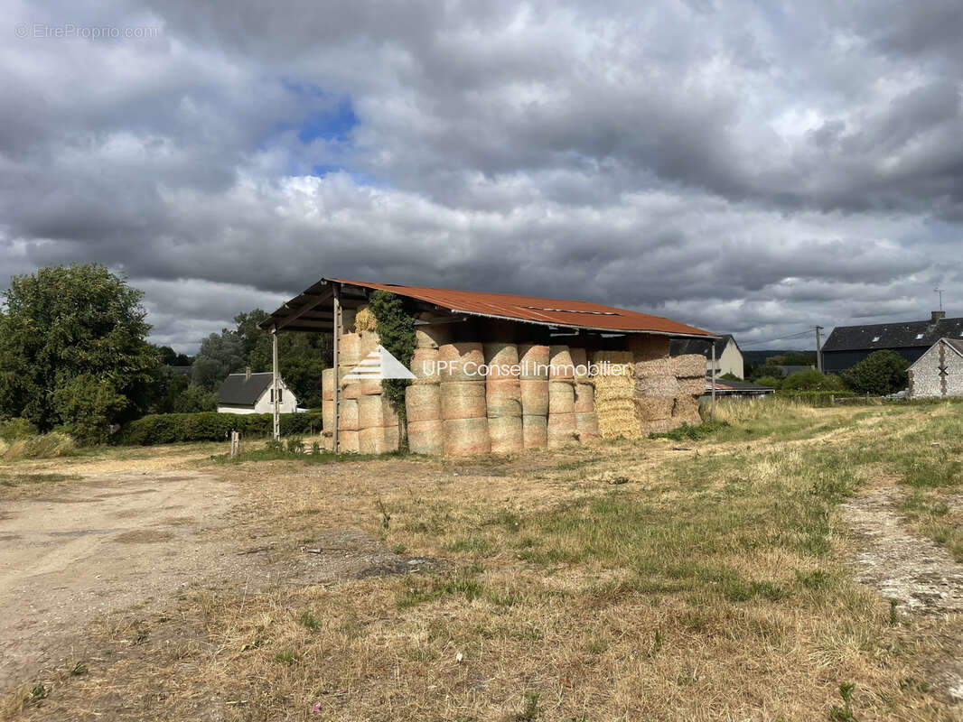 Bâtiment -Hangar - photo 3