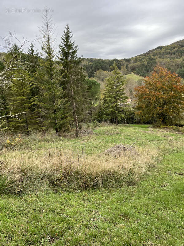 A vendre maison + dependances sur 1,2ha de terrain    chalabre - photo 12