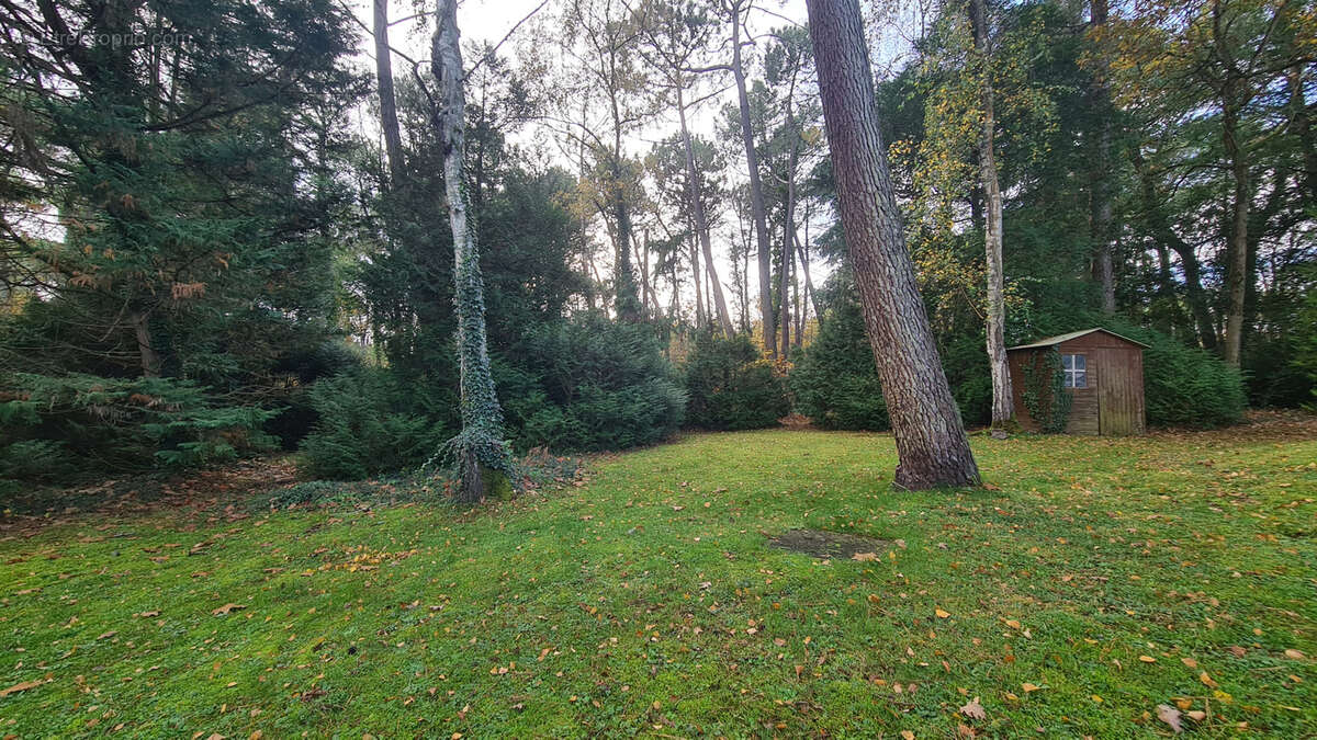 Maison à LE TOUQUET-PARIS-PLAGE