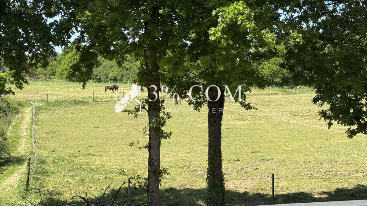 Appartement à BONO