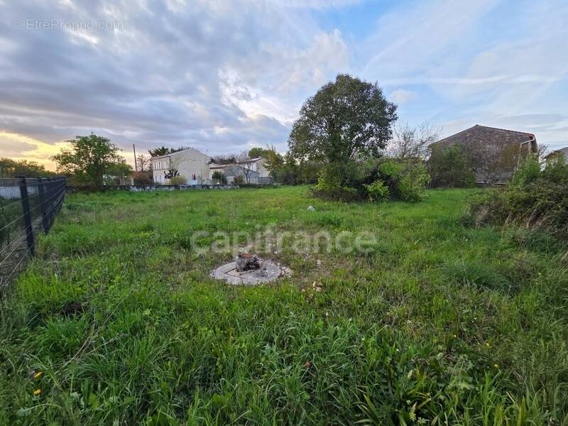 Terrain à LA VERGNE