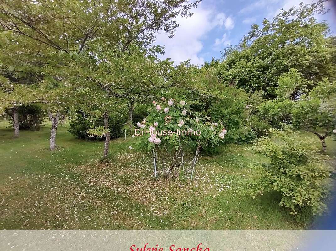 Maison à PELLEVOISIN