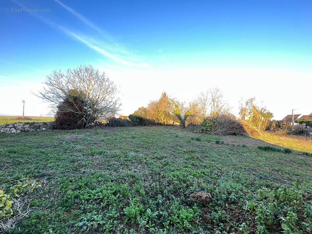 Terrain à MONTJAVOULT