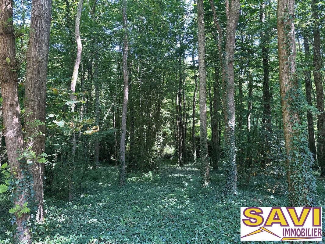 Maison à FERRIERES-EN-GATINAIS