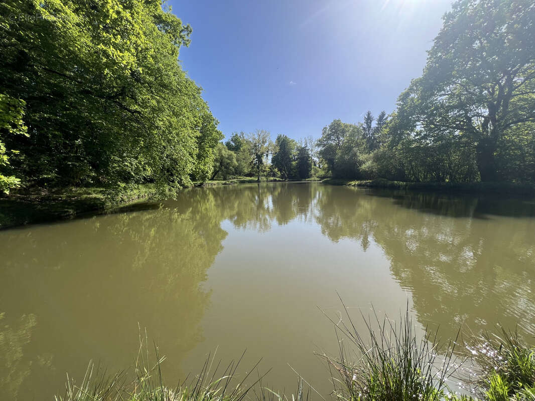 Etang avec terrain viabilise - photo 3