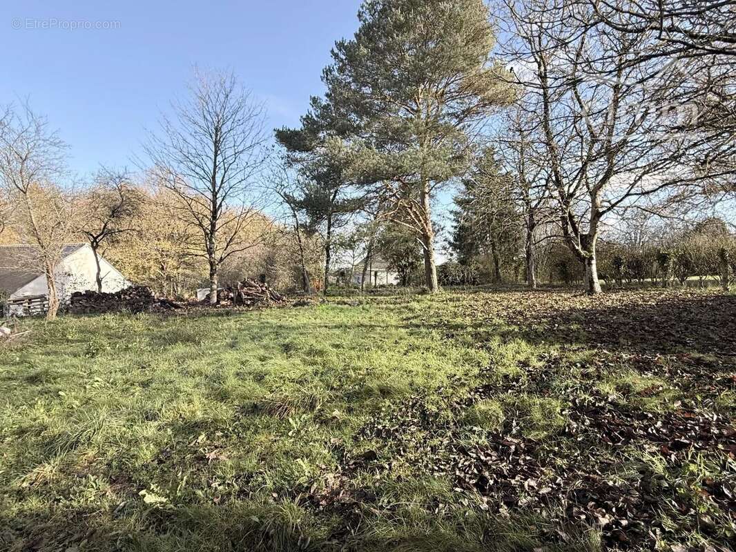 Terrain à CERE-LA-RONDE