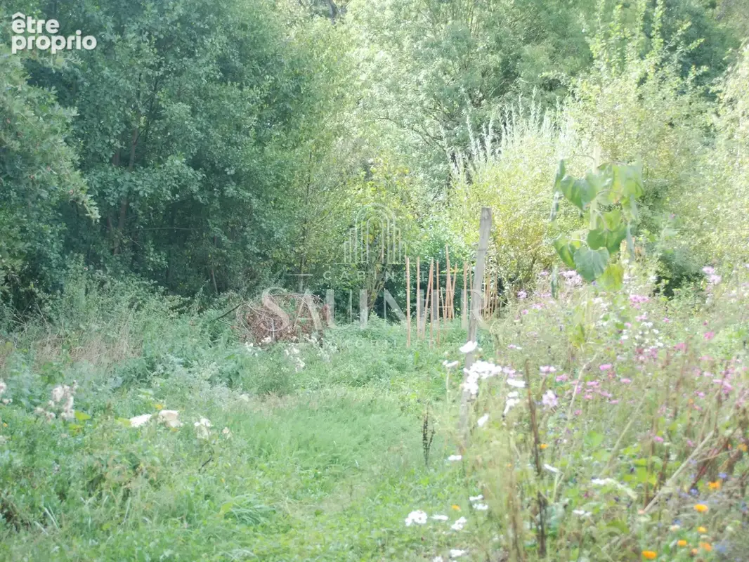 Entre Montrichard et Blois, petit domaine agricole. - photo 15