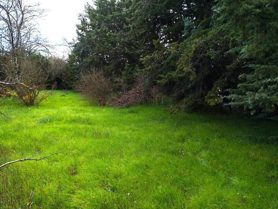 Terrain à SAINT-MAXIMIN-LA-SAINTE-BAUME