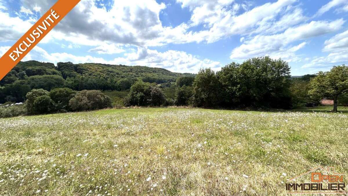 Terrain 4029 m² à Grolejac  - photo 16