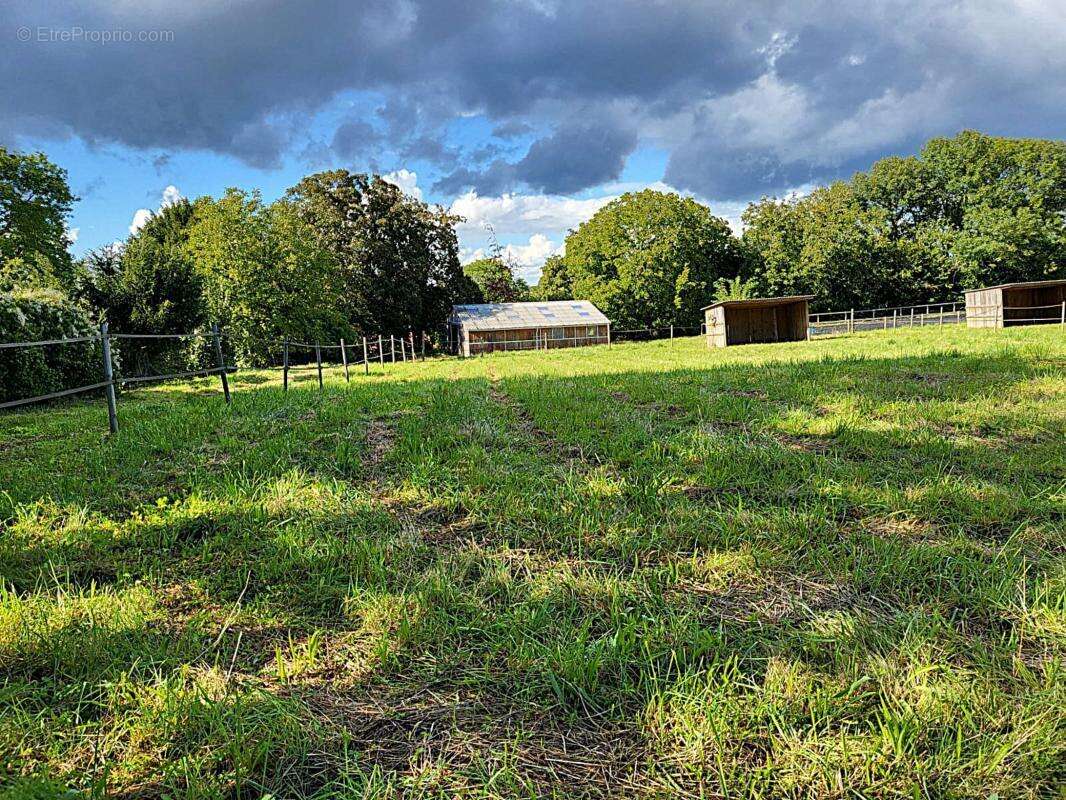 Terrain 12784 m² à Coulombs-En-Valois  - photo 2