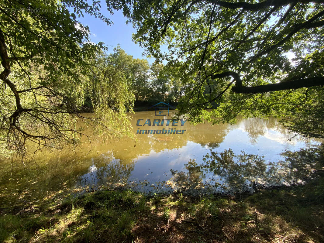 Etang de 30 ares environ sur un terrain de 75 ares avec abri de pêche à FRAHIER (70400) - photo 18