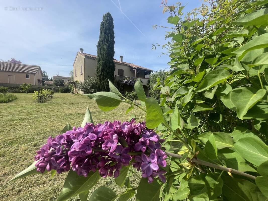 Maison à LIVRON-SUR-DROME